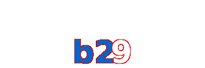 b29